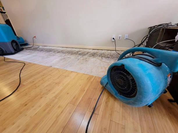 Professional Basement Flood Cleanup technician working in Wellington, KS